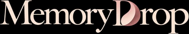 MemoryDrop